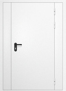 Однопольные глухие противопожарные двери с двумя вставками с порошковым напылением